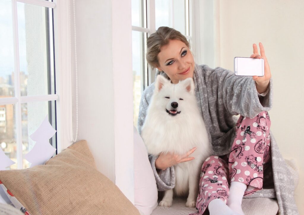 qualities of a dog person