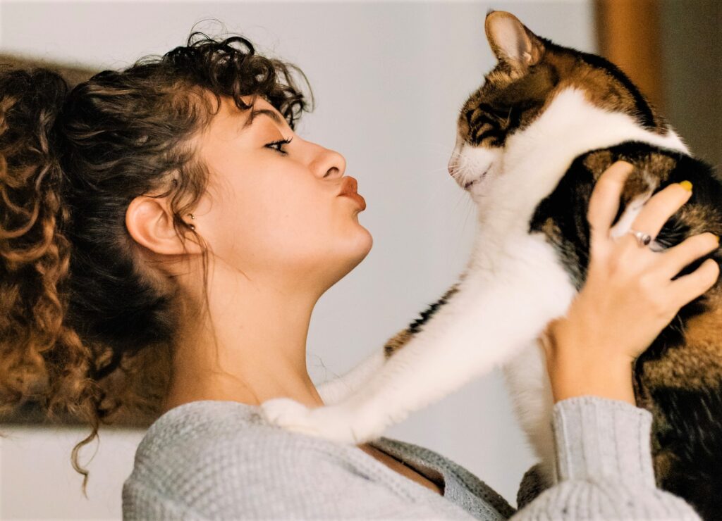 reasons to get a cat