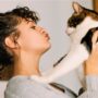 reasons to get a cat