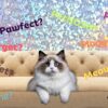 cat food made in pakistan