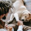 40 dog commands and tricks